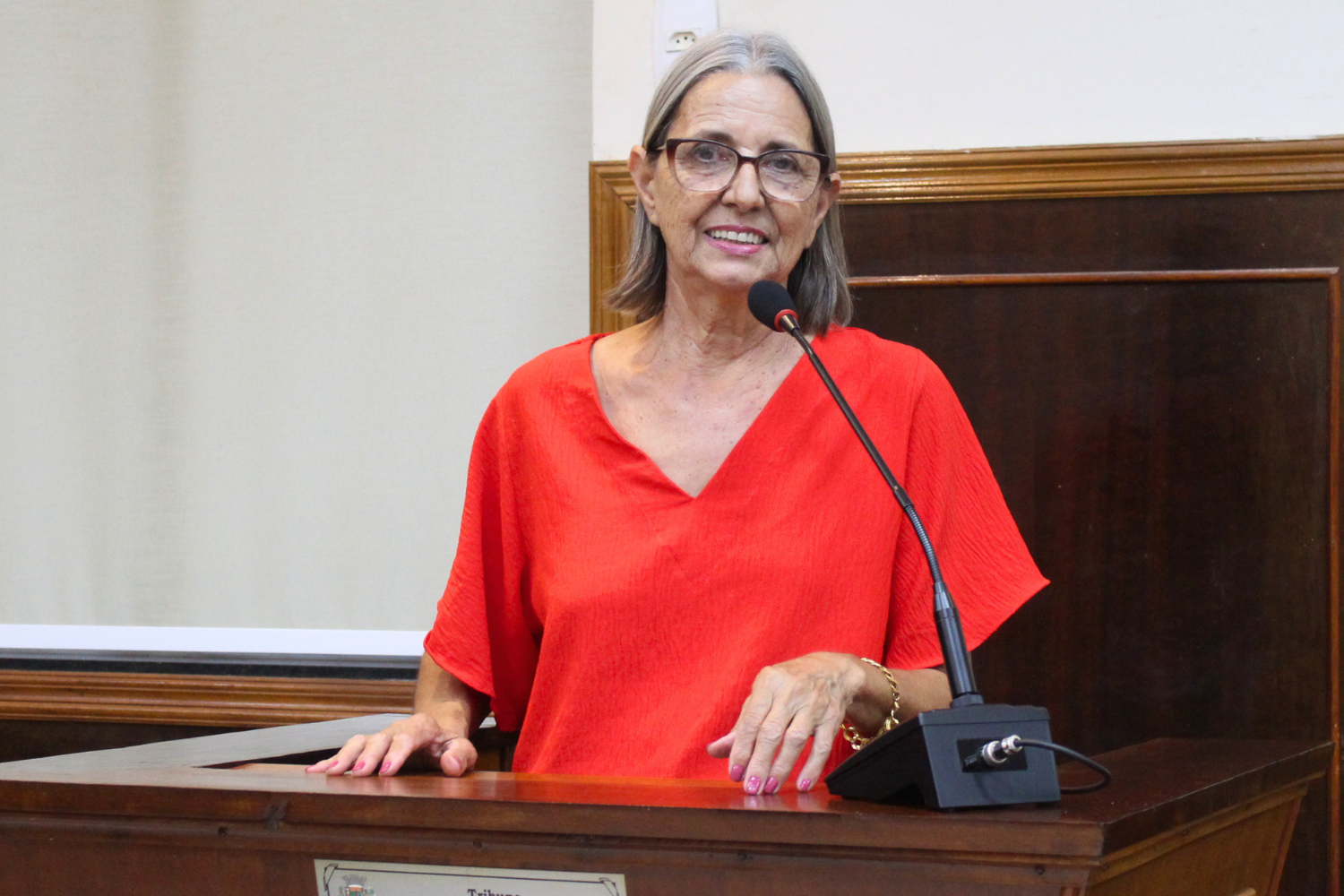 Vereadora Sônia Canato solicita ao Executivo Municipal troca de lâmpadas queimadas em trecho da Rua Anhembi no Jardim das Acácias