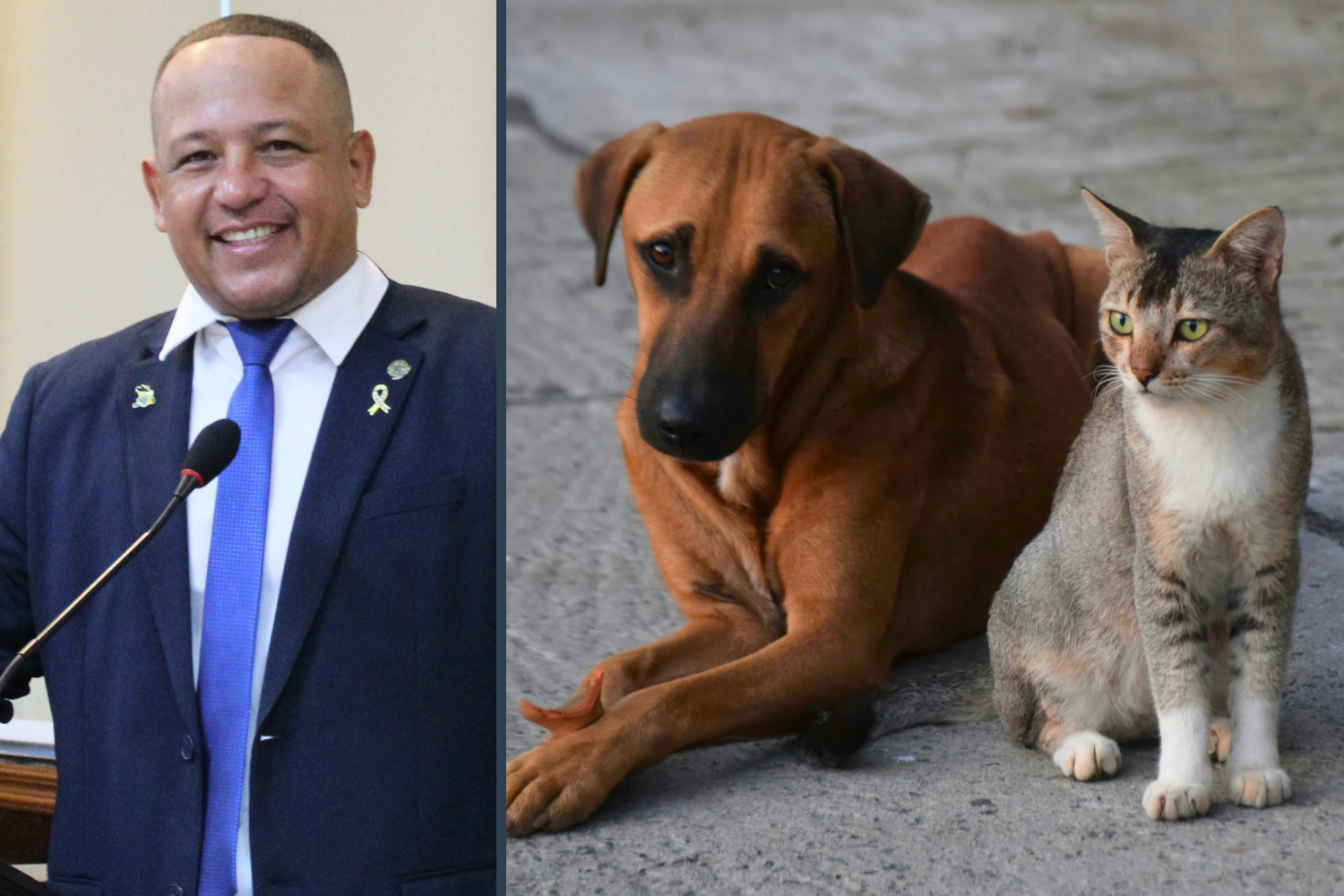 Vereador Carlos Henrique BGO solicita ao Deputado Federal Bruno Ganem R$200 mil destinados à causa animal
