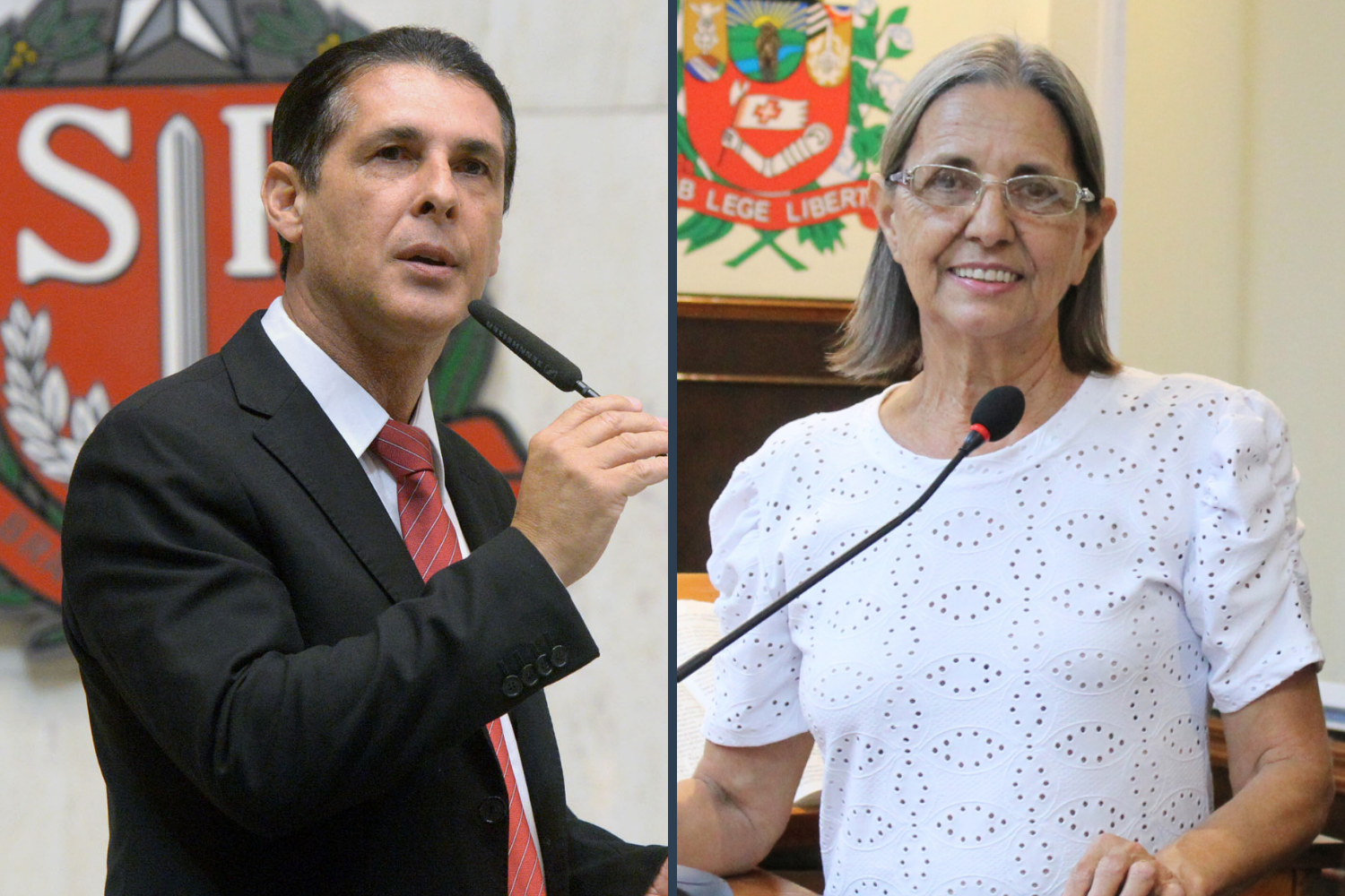 Selecione a Imagem 