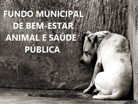 Legislativo aprova projeto que cria Fundo Municipal de Bem-Estar Animal e Saúde Pública