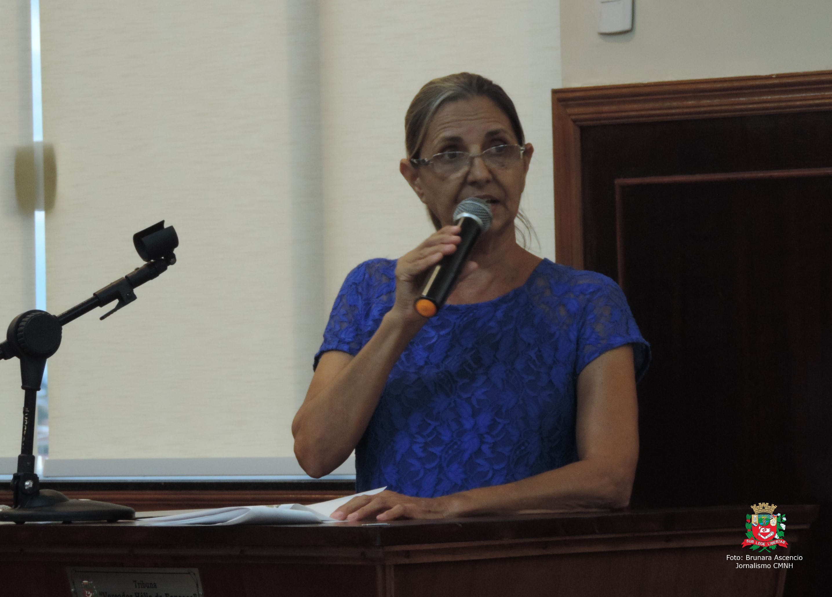 Vereadora Sônia Canato solicita ao Executivo Municipal providências com relação a buracos em vias públicas e ponte do Município