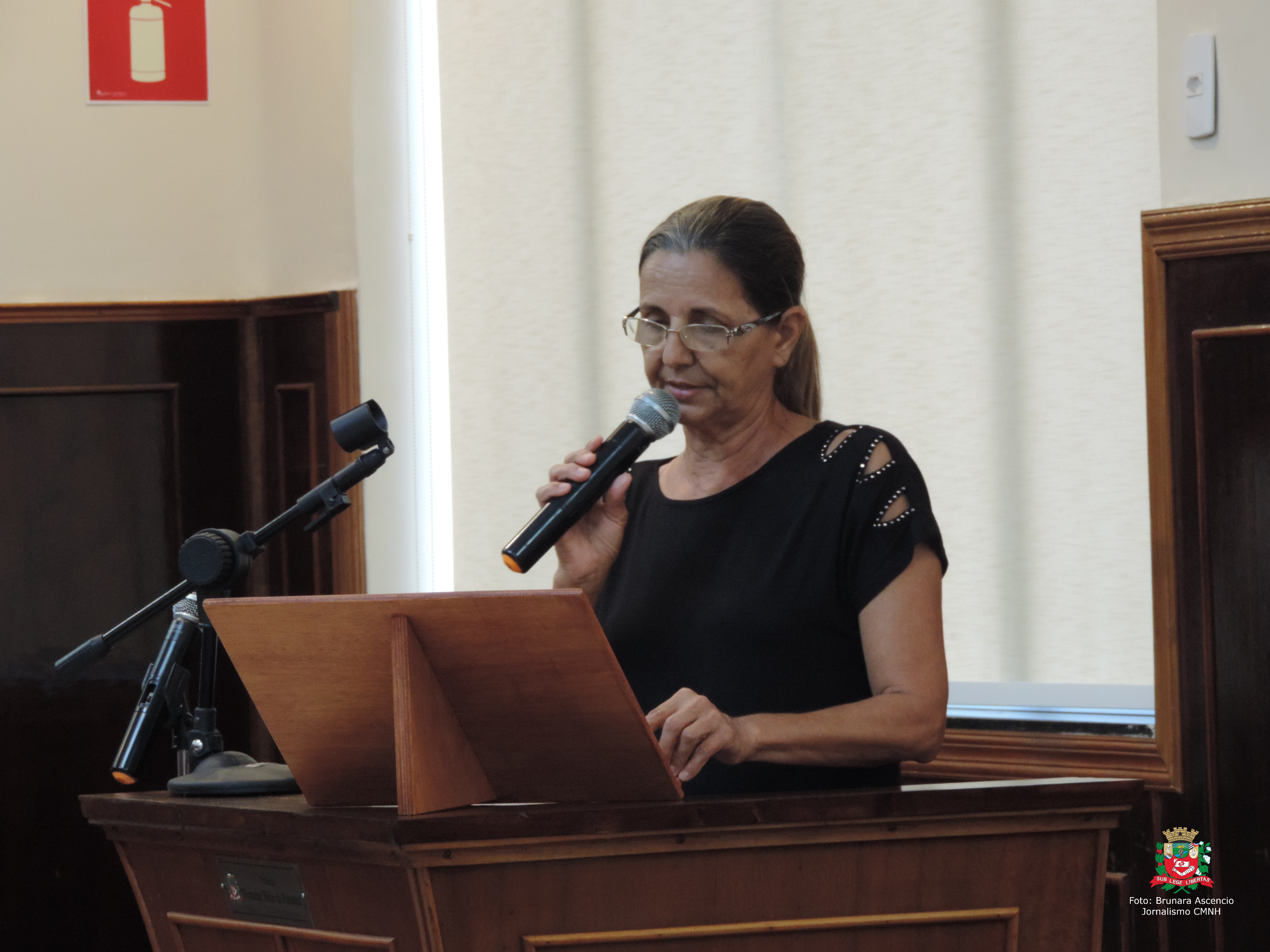 Vereadora Sônia Canato solicita ao Executivo Municipal providências com relação a buracos em via pública do Jardim Popular