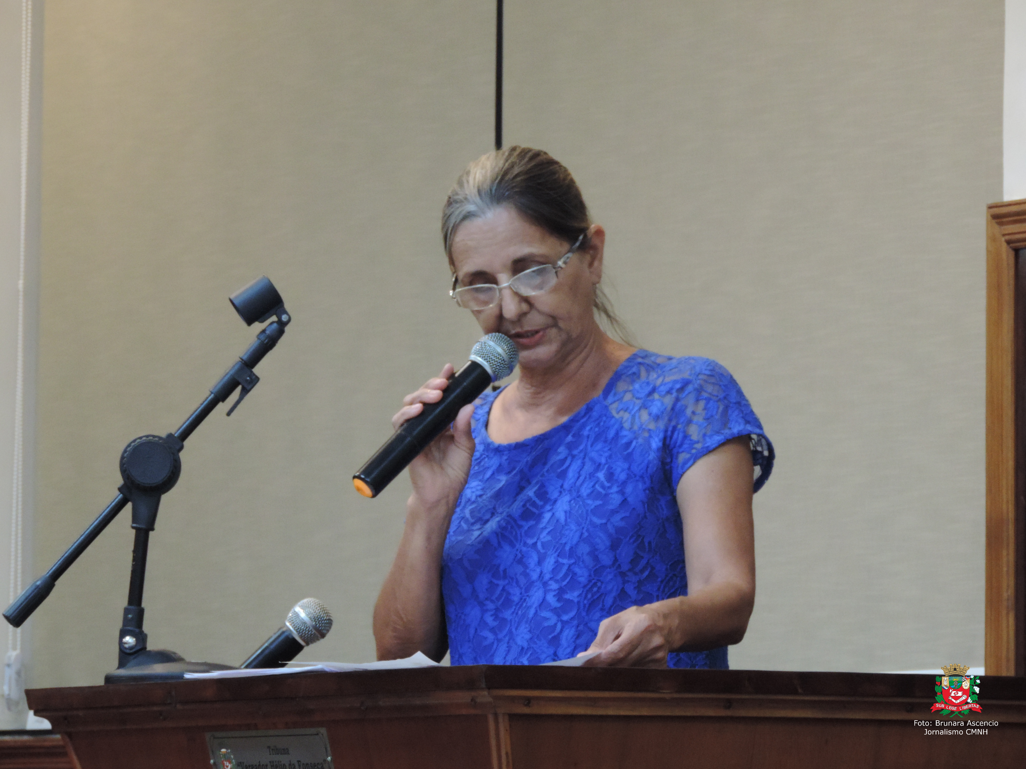 Vereadora Sônia Canato solicita ao Executivo Municipal que refaça pintura do redutor de velocidade localizado em via pública do Centro