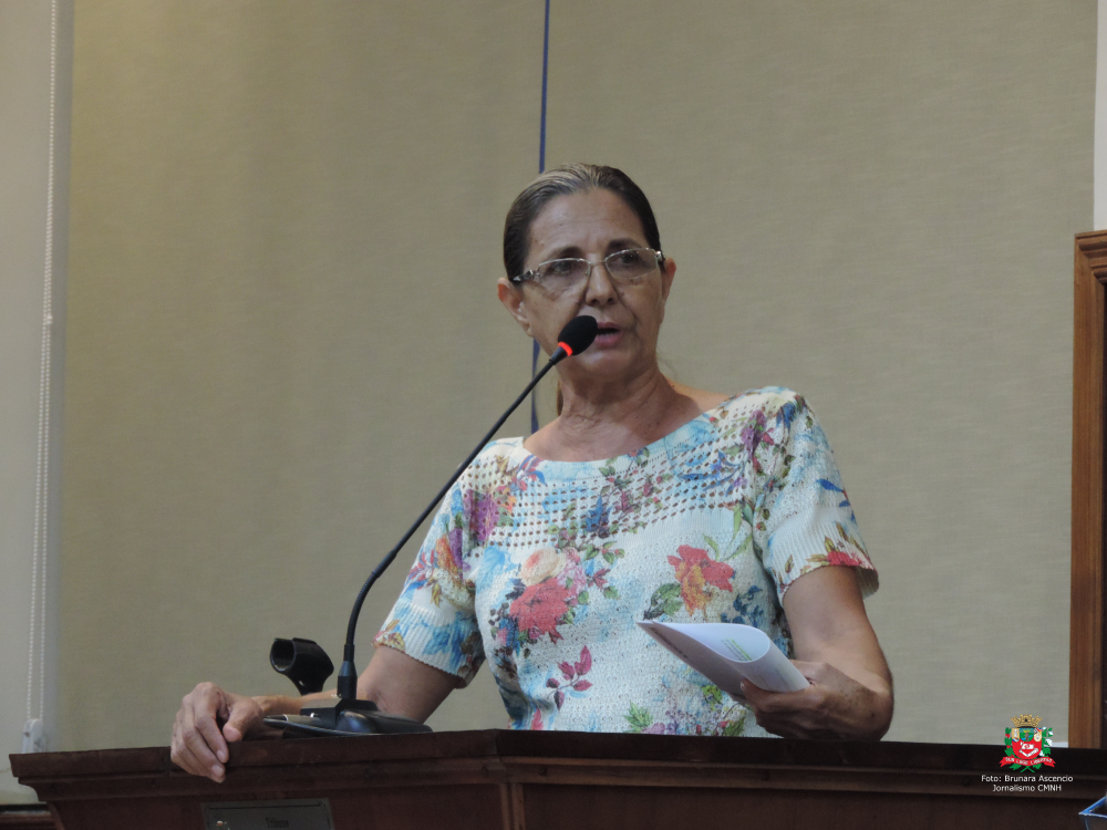 Vereadora Sônia Canato solicita ao Executivo Municipal construção de passagem de águas pluviais no cruzamento de vias públicas no Residencial Gino de Biasi