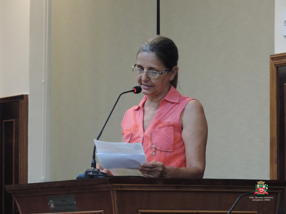 Vereadora Sônia Canato solicita ao Executivo Municipal serviço de tapa-buraco em trecho da Avenida da Saudade