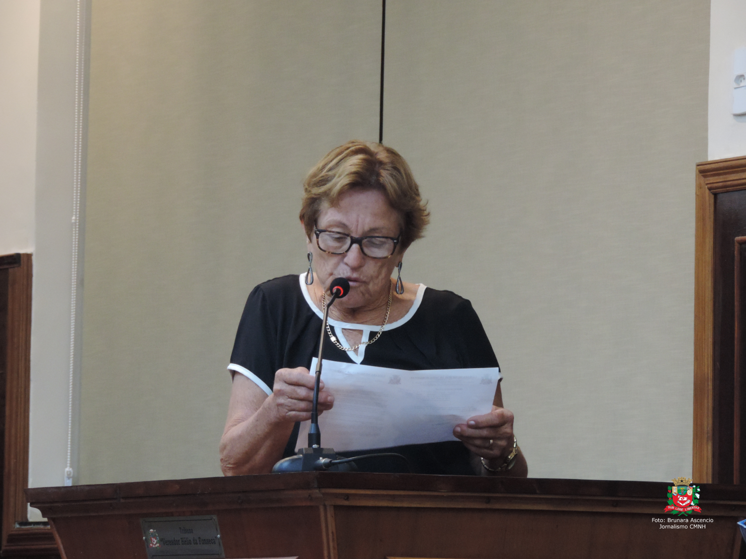 Vereadora Ivone Magri Ruiz concede Título de "Cidadão Novo-horizontino" ao Dr. Roberto Melchiori 