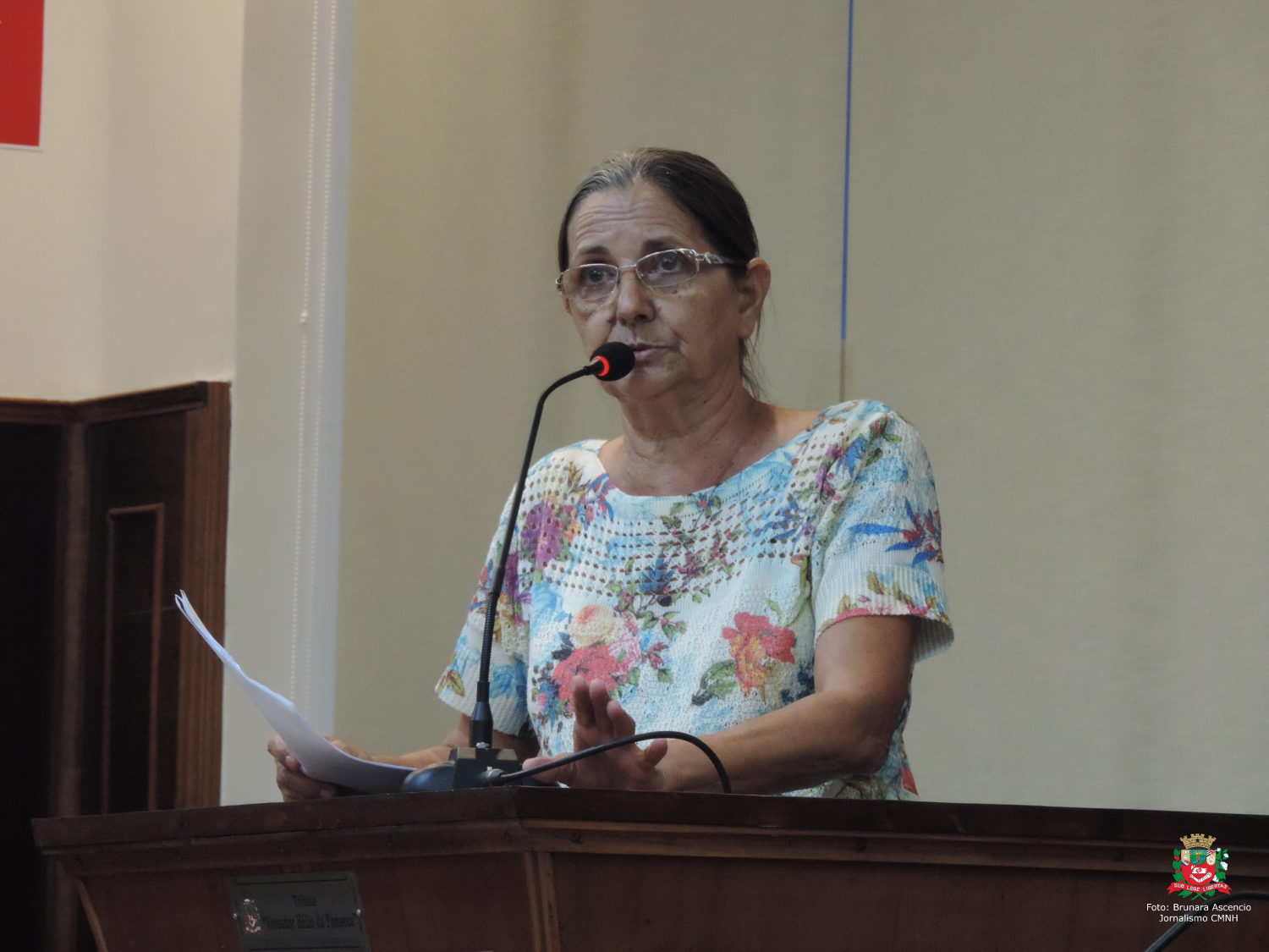 Vereadora Sônia Canato solicita ao Executivo Municipal retirada de canteiro e reparos na calçada da Praça 9 de Julho