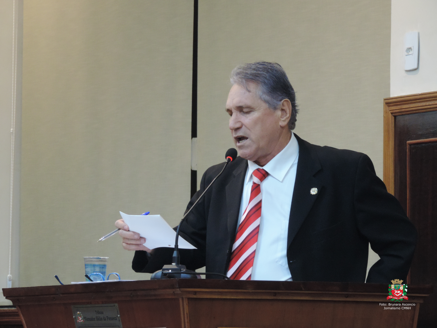 Vereador Nelsinho Luiz concede "Diploma Beija-Flor" a Klaus Saldanha Hellwig