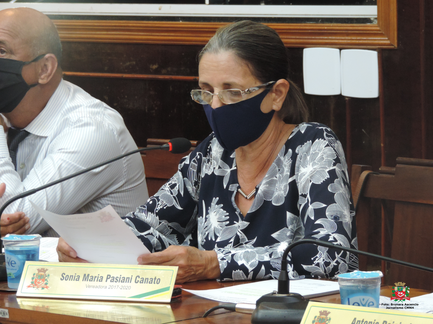 Vereadora Sônia Canato solicita ao Prefeito Municipal coleta de galhos em via pública do Alto da Vila Patti