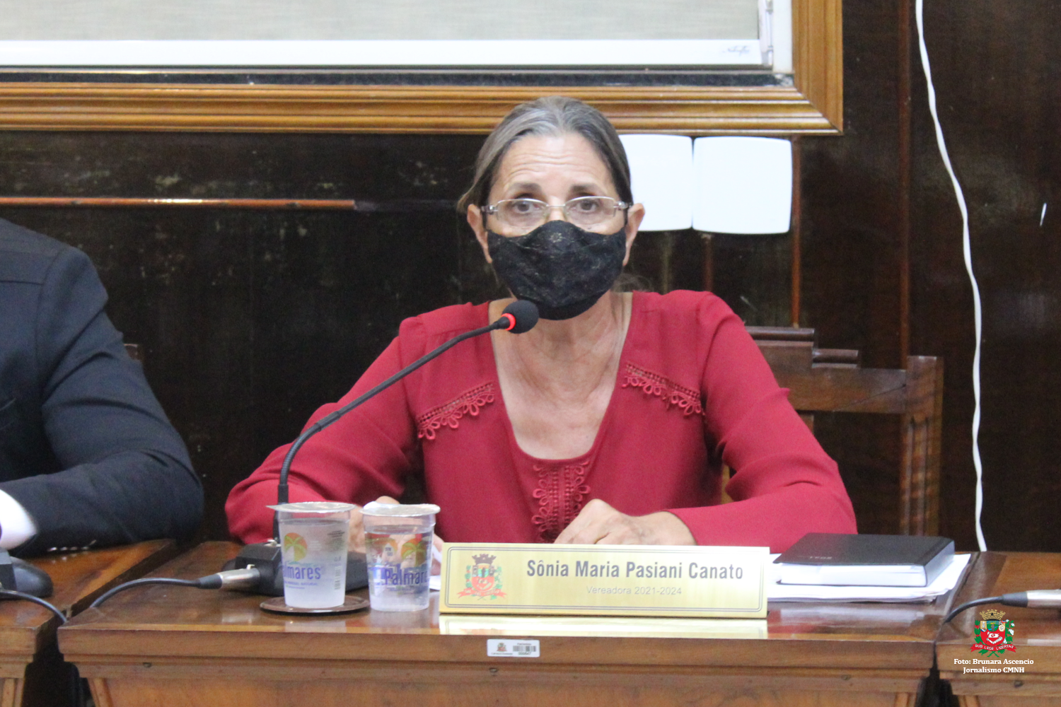 Confira as proposituras da Vereadora Sônia Canato na sessão ordinária de 19 de abril