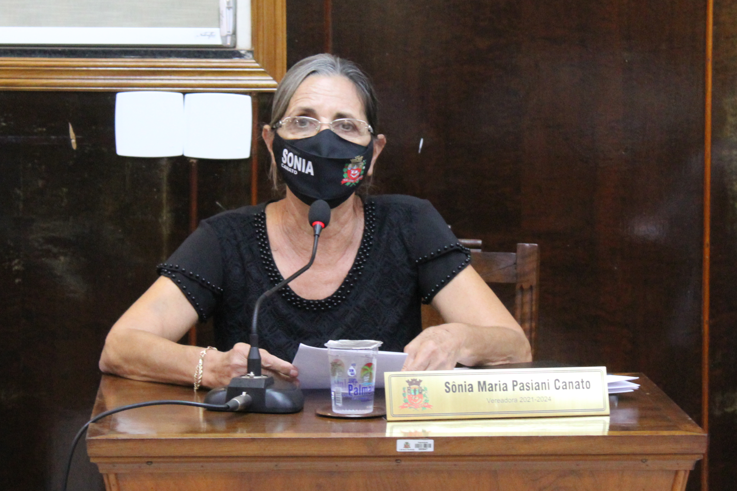 Confira as proposituras da Vereadora Sônia Canato na sessão ordinária de 7 de junho