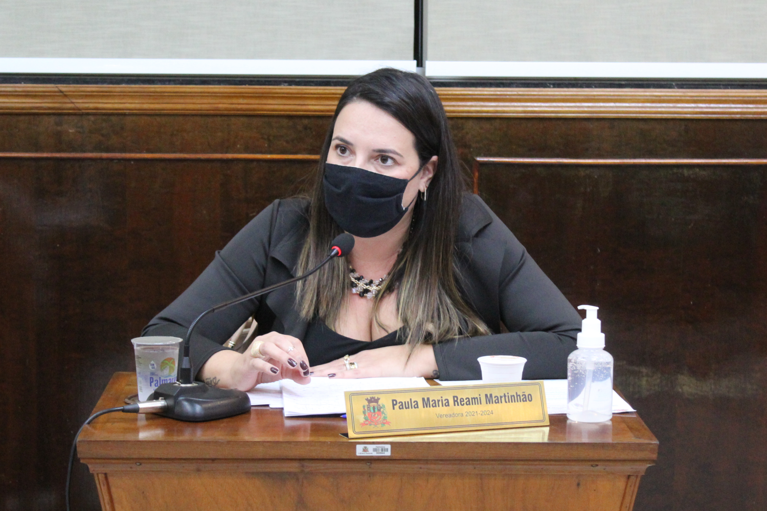 Confira as proposituras da Vereadora Paula Reami da Ong na sessão ordinária de 21 de junho