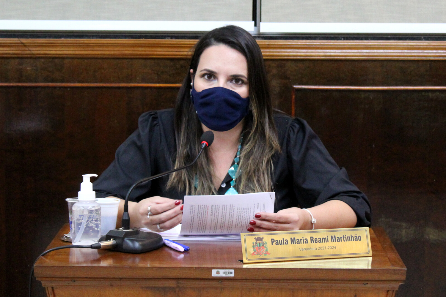 Confira as proposituras da Vereadora Paula Reami da Ong na sessão ordinária de 16 de agosto