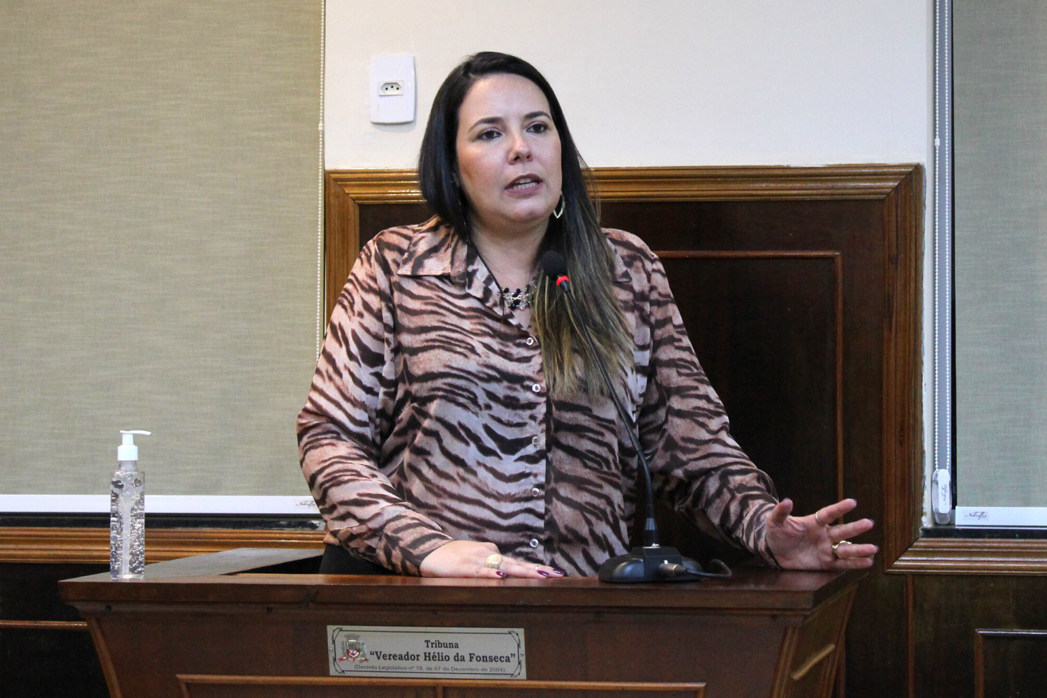 Confira as proposituras da Vereadora Paula Reami da Ong na sessão ordinária de 20 de setembro