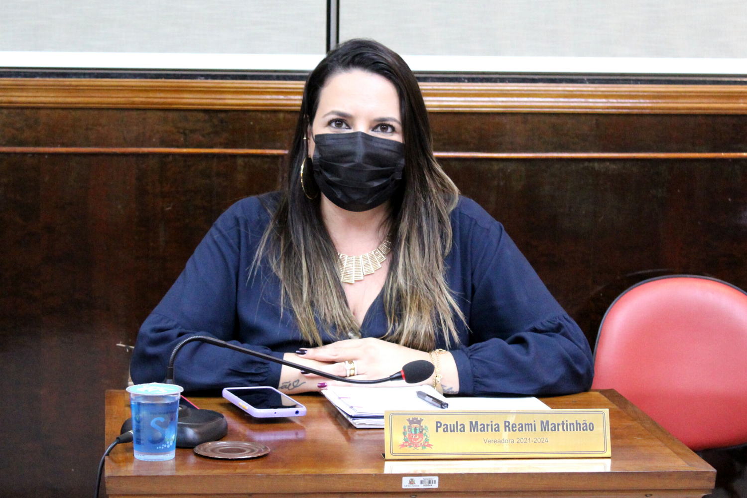 Confira a propositura da Vereadora Paula Reami da Ong na sessão ordinária de 18 de outubro