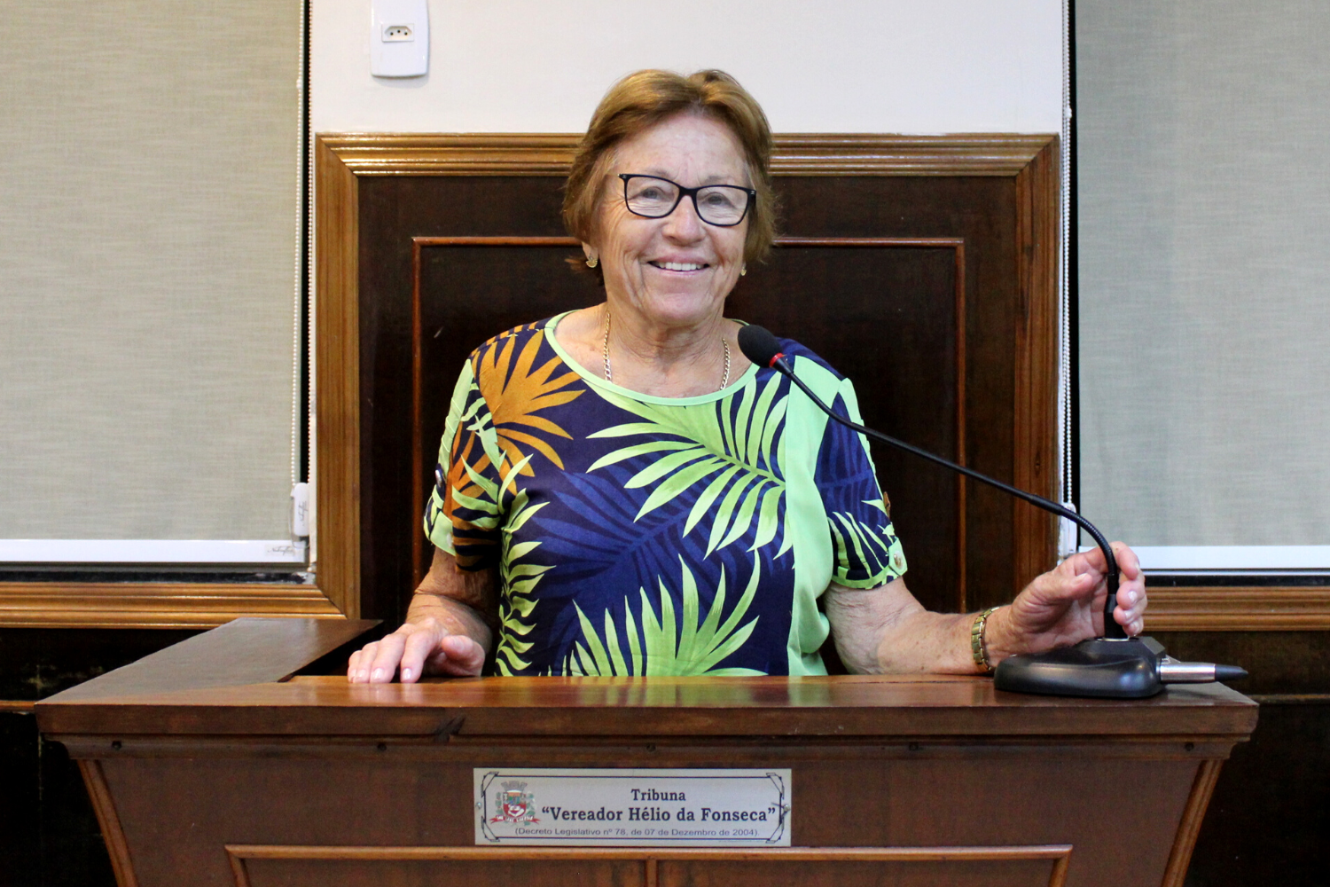 Confira as proposituras da Vereadora Ivone Ruiz na sessão ordinária de 7 de novembro