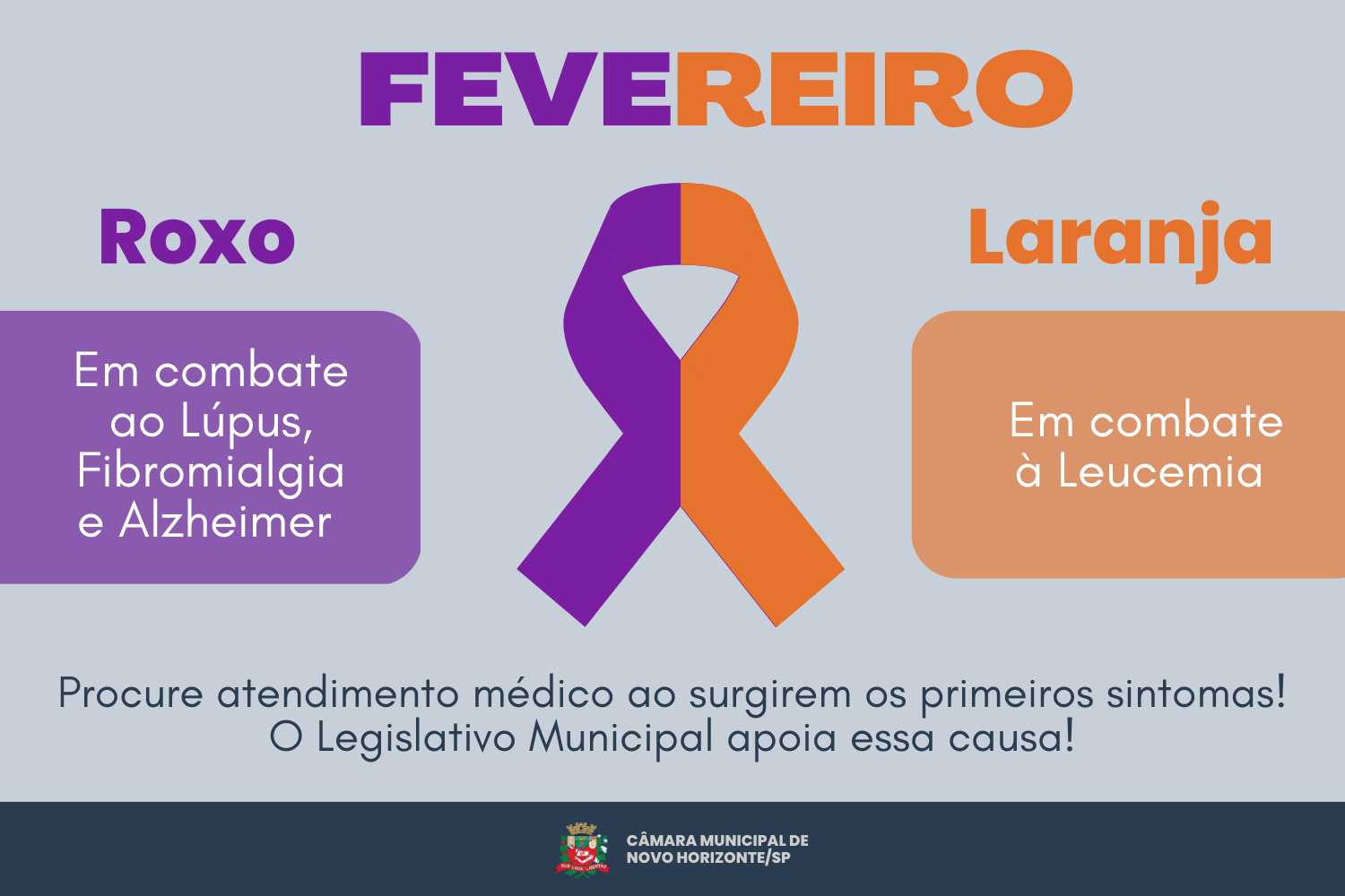 Fevereiro Roxo e Laranja: mês de conscientização do Lúpus, Fibromialgia, Alzheimer e Leucemia