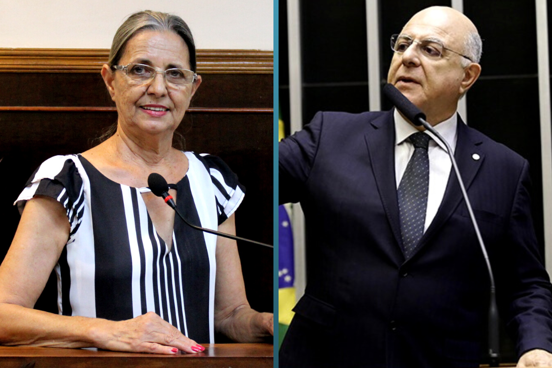 Vereadora Sônia Canato solicita ao Deputado Federal Arnaldo Jardim recursos para a área da Saúde do Município