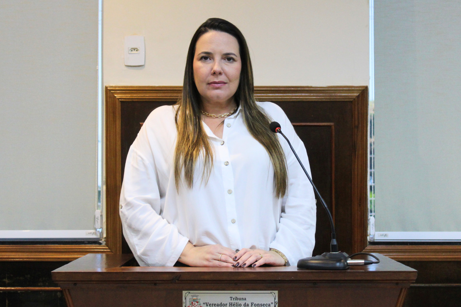 Confira as proposituras da Vereadora Paula Reami na sessão ordinária de 3 de julho