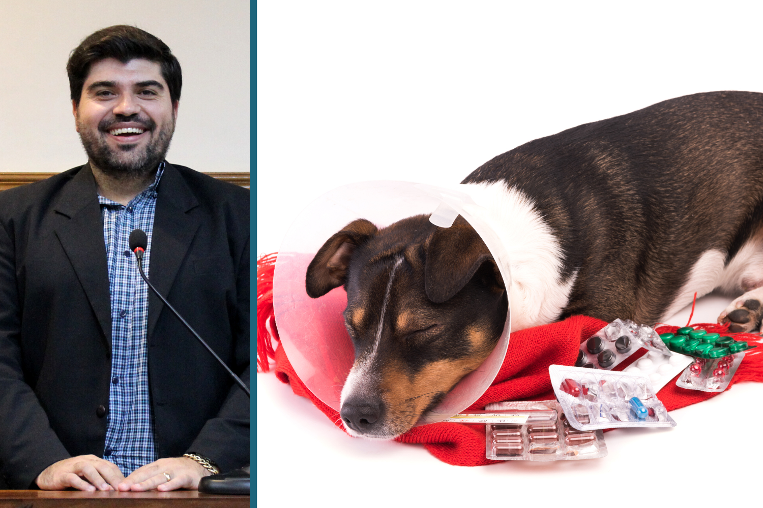 Vereador Raí Ascêncio solicita ao Prefeito Fabiano Belentani implantação de "Farmácia Solidária Veterinária" para pessoas de baixa renda 