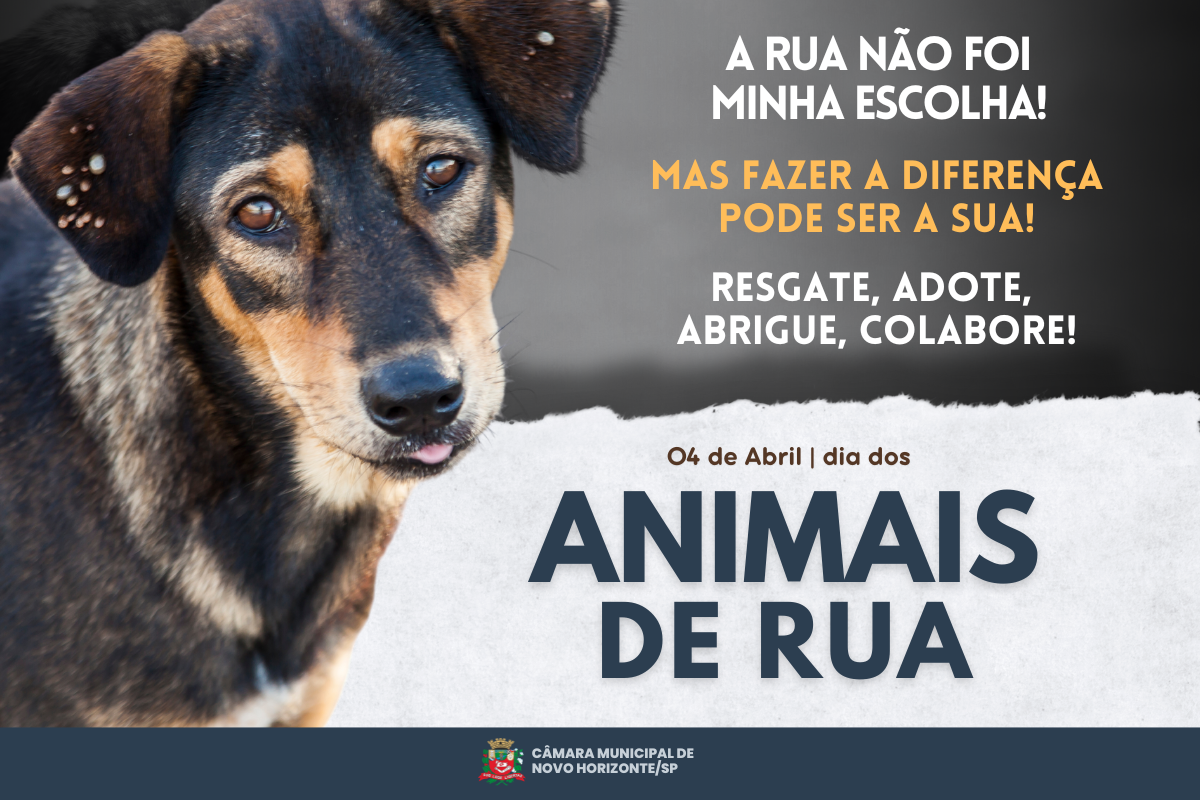 4 de abril: Dia Mundial dos Animais de Rua 