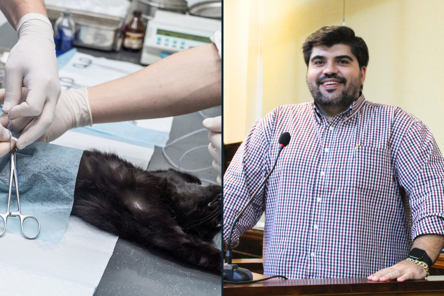 Vereador Raí Ascêncio solicita ao Prefeito Fabiano Belentani informações sobre a utilização do restante dos recursos de Emendas Impositivas indicadas por Vereadores para castração gratuita de cães e gatos