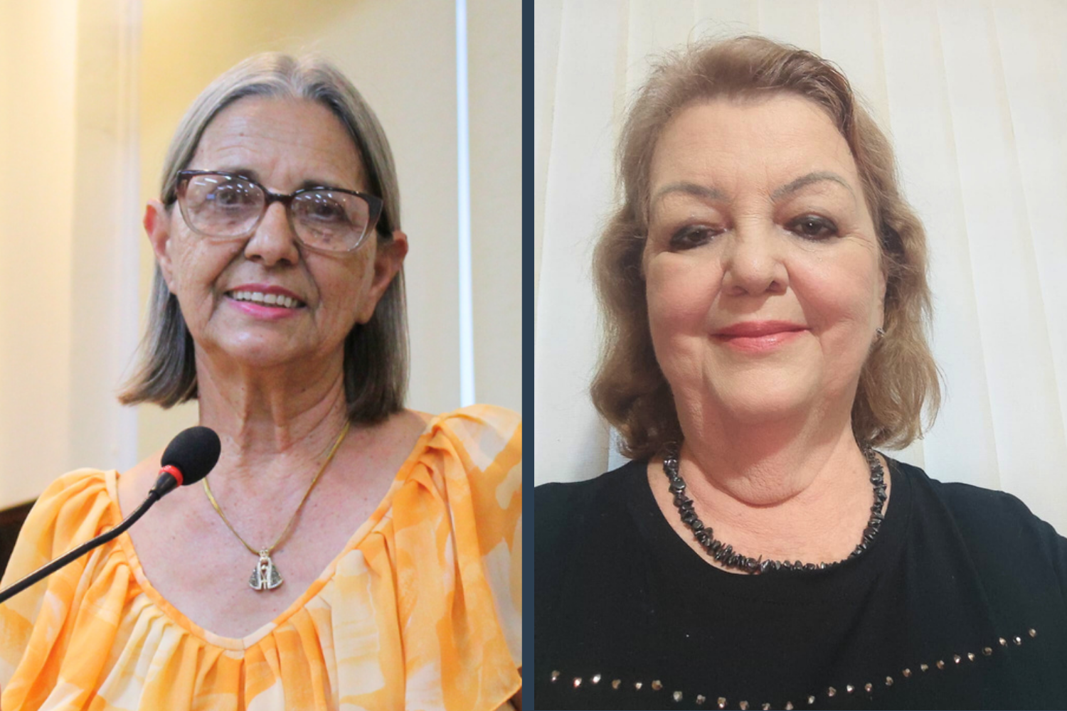 Vereadora Sônia Canato Concede medalha “28 de outubro” a Tânia Mara Falzetta Pagane