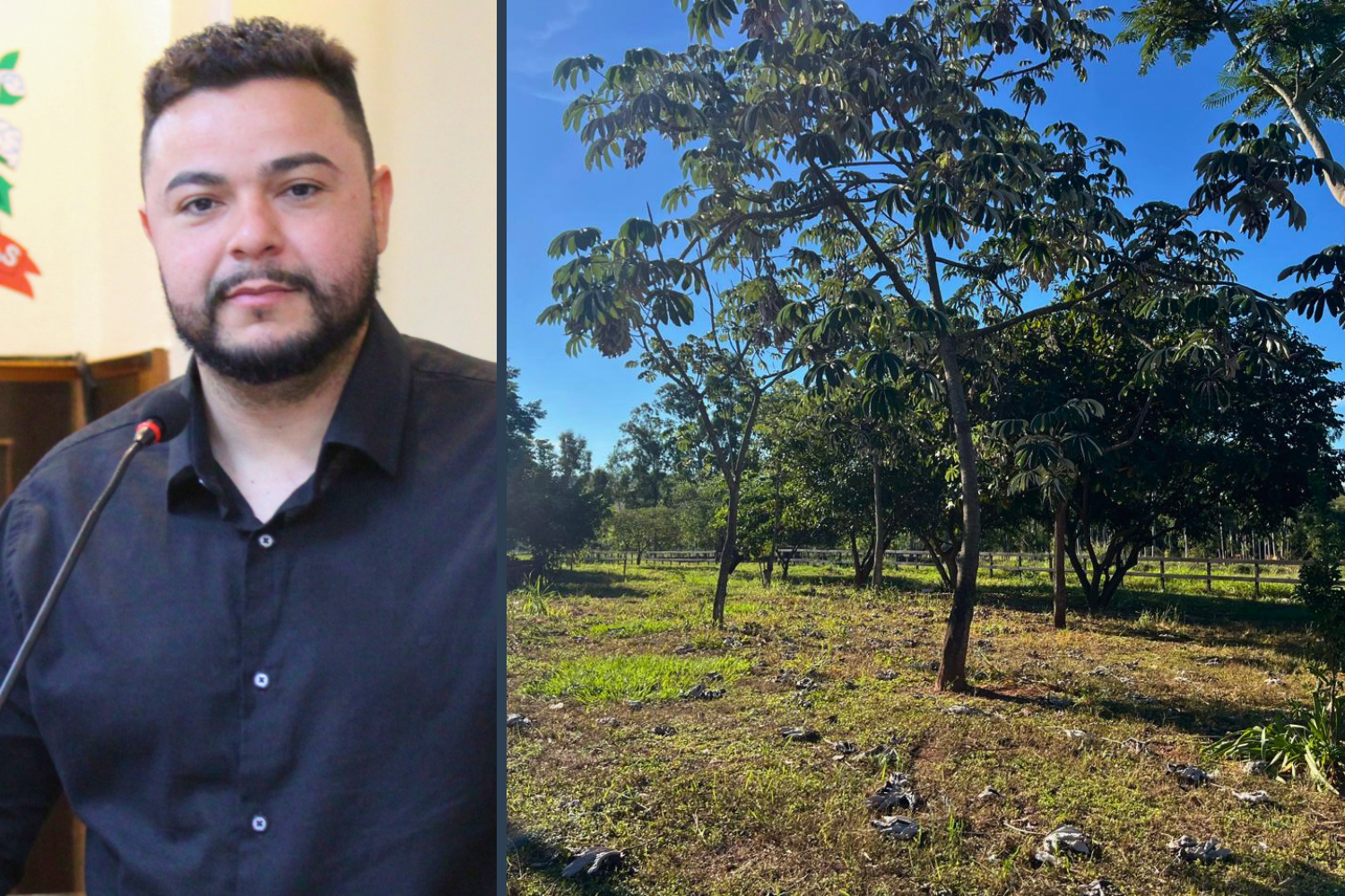 Vereador Alan Cosme solicita ao Executivo Municipal possibilidade de implantação de um espaço de lazer em área verde localizada no Jardim das Paineiras